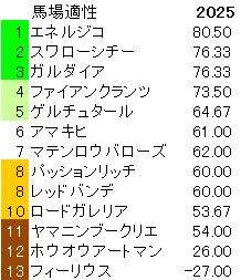 2025　青葉賞　馬場適性指数
